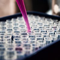 Hazte gratis la prueba de COVID 19 en estos Centros de salud en CDMX