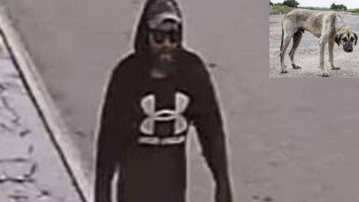 El asesino escapó del lugar y amenazó a un testigo