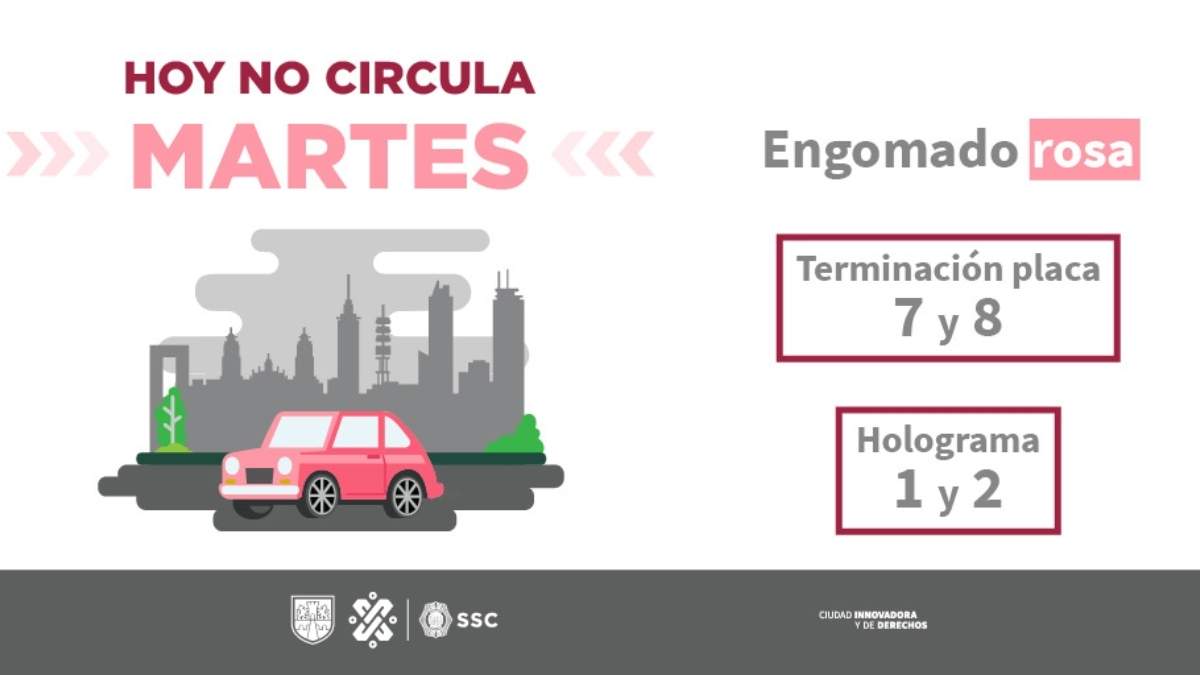 Estas placas y engomados están permitidos en CDMX hoy