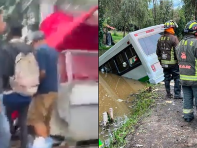 Así cayó el puesto de comida al canal de Xochimilco