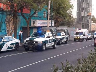 Pitbull ataca a niño y muere tras la mordida