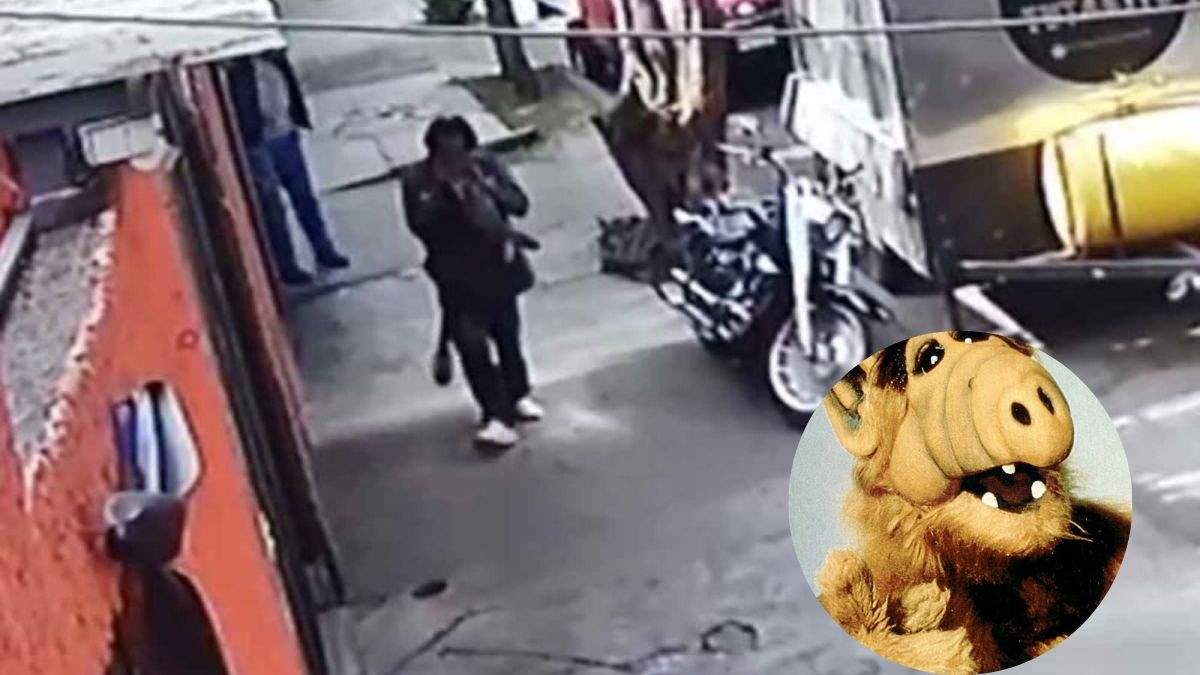 El hombre sin hogar aparentemente come animales para sobrevivir, pero ya tiene una denuncia