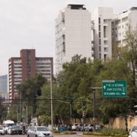 Conoce que placas no circulan este sábado 19 de noviembre