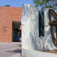 ¿De qué trata el fraude de las viudas falsas del IMSS?