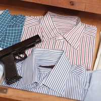 PAN y PRD dan la espalda a propuesta del PRI sobre armas en familias