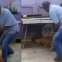 VIDEO Hombre amarra y golpea fuertemente a su perro en Iztapalapa