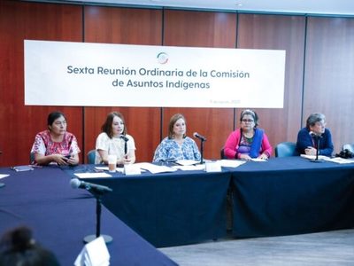El Senado se compromete a defender los derechos de los pueblos indígenas