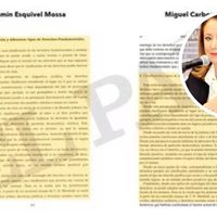 Ministra Yasmín Esquivel también plagió su tesis de doctorado
