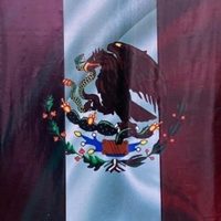 Gobierno de Nayarit pone color de Morena en la Bandera de México