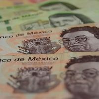 Así puedes aumentar tus semanas cotizadas en el IMSS