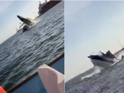 VIDEO ¡Heridos! Ballena salta del agua y cae sobre turistas en Sinaloa