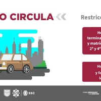 Mira que placas se quedan en casa este sábado con el Hoy No Circula
