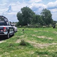 Hallan cuerpo de mujer que era devorado por la fauna en Tizayuca