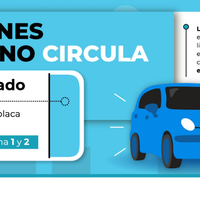 Este es el 'Hoy no Circula' del día viernes 24 de junio
