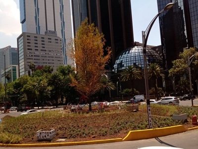 ¿El Ahuehuete será cuidado por la UNAM? Esto propone el PAN