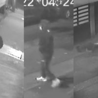 VIDEO Captan violento asalto en calles de la alcaldía Miguel Hidalgo
