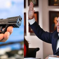 Presidente del PRI propone que familias tengan armas en casa