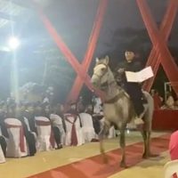Joven recibe su diploma MONTADO A CABALLO