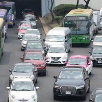 Conoce las placas que no circulan este viernes 9 de noviembre
