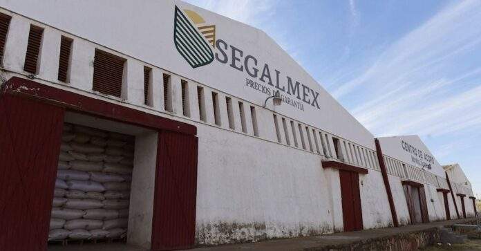 Alejandro Puente operador de Dante Delgado sobornó a René Gavira, ex titular de Segalmex, con 6.7 mdp para obtener contratos de Segalmex