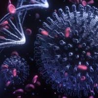 Reportan casos de EG.5 en México, la subvariante del coronavirus Ómicron