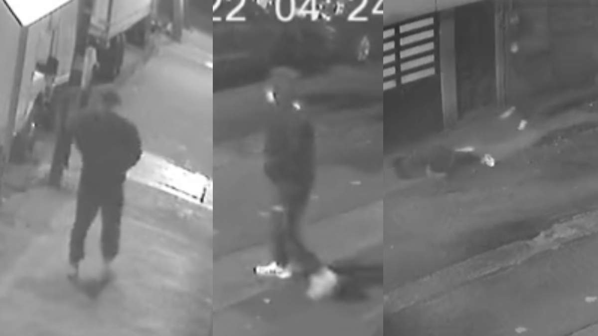 VIDEO Captan violento asalto en calles de la alcaldía Miguel Hidalgo. Foto: Camelia Colin