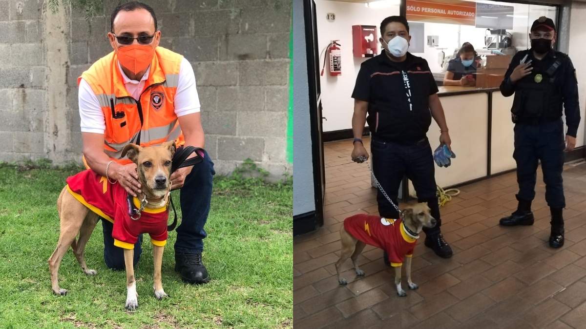 Rescatan a perro "Flash" en la estación Tacuba del Metro CDMX. Foto: Metro