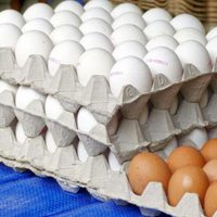 Kilo de huevo a la baja, se vende hasta en 45 pesos