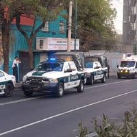 Pitbull ataca a niño y muere tras la mordida