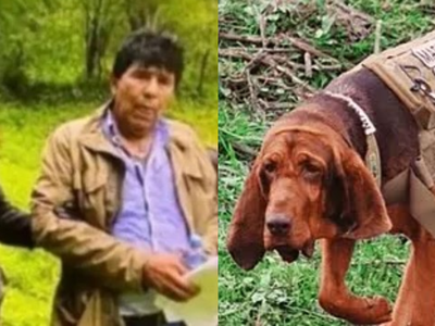 Con perrita capturan a Caro Quintero ¿cómo lo hizo este can?